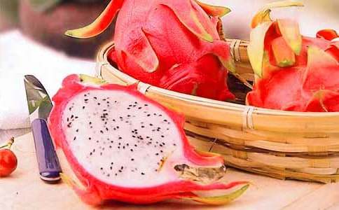 �茑����������15ƪ