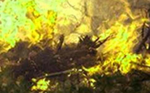 遠離火災珍愛生命作文錦集9篇