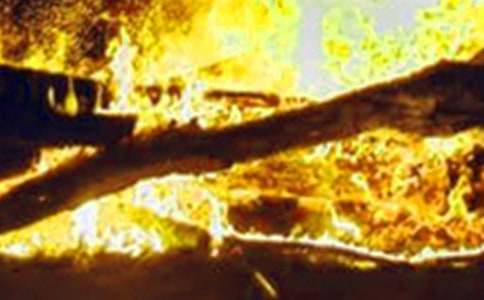 ���P�h�x�������������ĺϼ�8ƪ