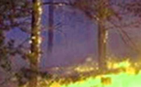 �������600����ƪ