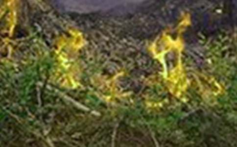 �h�x�������������ĺϼ���ƪ