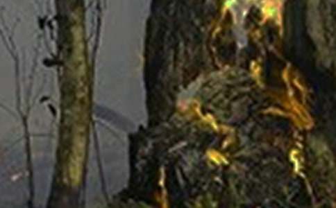 關于遠離火災珍愛生命作文五篇