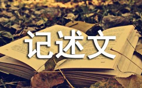 �P��׷���ӛ����500��