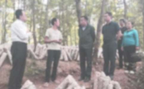 �o�z����ȹ������Y15ƪ