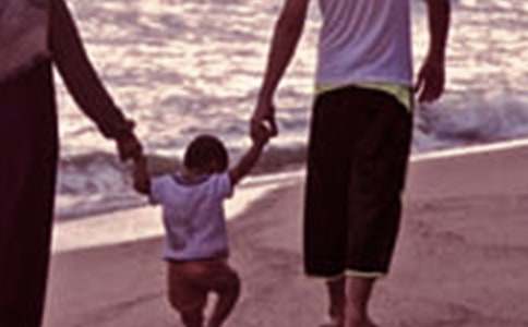 ��ͥ����������ƪ