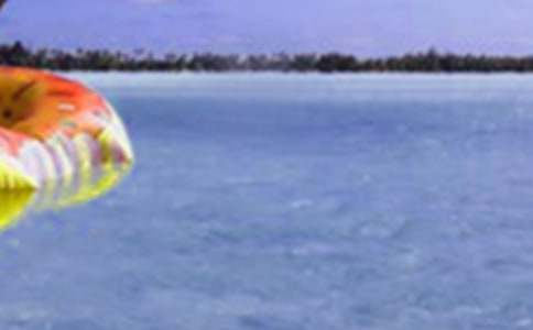 �ҵļ�������������