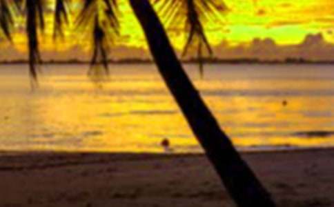 假期里我學會了獨立作文800字