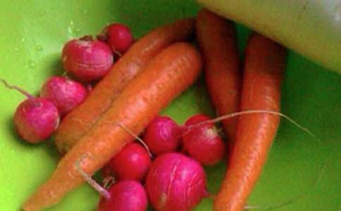 ���������n������