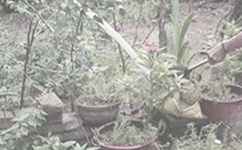 ��������400����ƪ