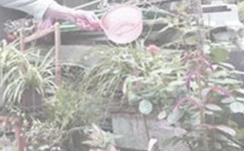 ����������600��4ƪ