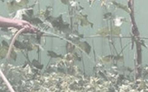 ��������600�֣����x25ƪ��