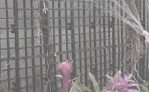 �����ҕ�����