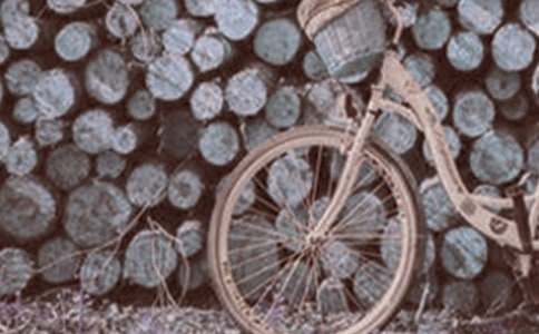 �Һ��ҵ��_̤܇���ģ����x15ƪ��