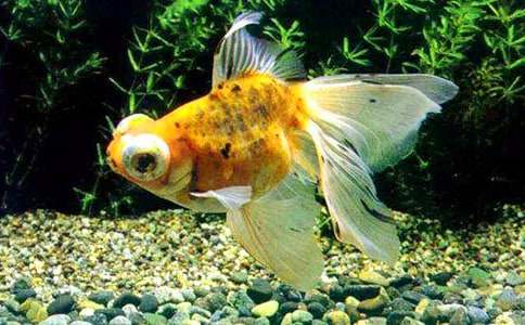 �B���~��������