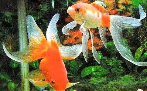 ���꼉ץס���c�������� �����ġ����~ӛ�ԡ�