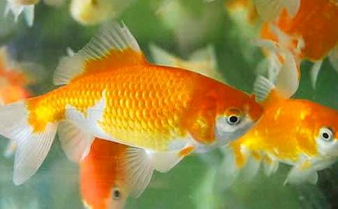 С�W����ŭ��С���~�������ģ�ͨ��8ƪ��