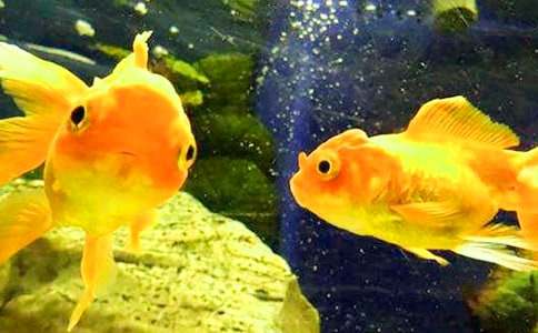 �^����~���ġ����T��