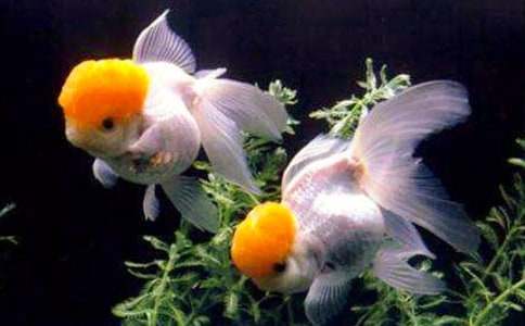 �^����ӛ���~����