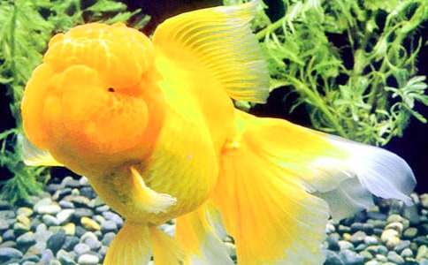 �P�ڽ��~ͯԒ���ąR��9ƪ