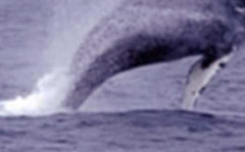 �L�~���U��������