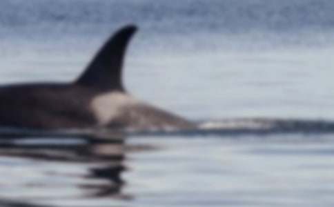 һ�^�L�~����������700��