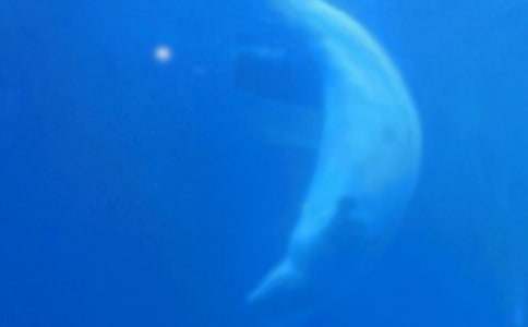 �L�~����600��4ƪ