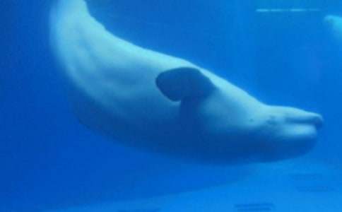 �L�~�Č�����