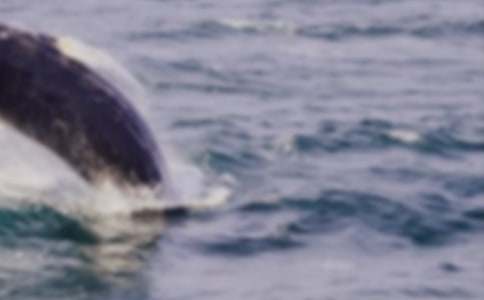 �L�~����600�ְ�ƪ