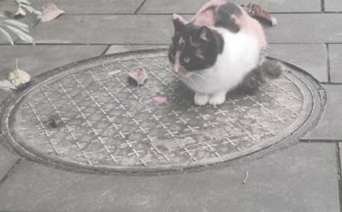 ������ľ��w����400��