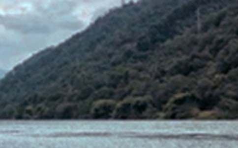 �茑����������ɫ������400��