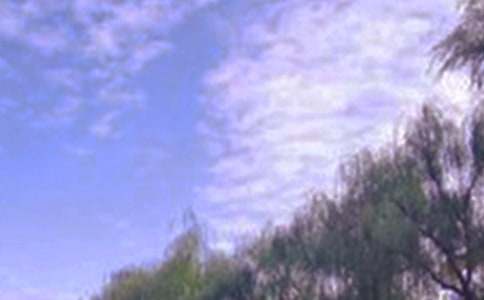 ǧ��ɽ�ľ�ɫ����600�֣����x27ƪ��