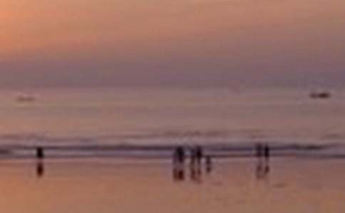 描寫武漢的景色作文600字(精選41篇)