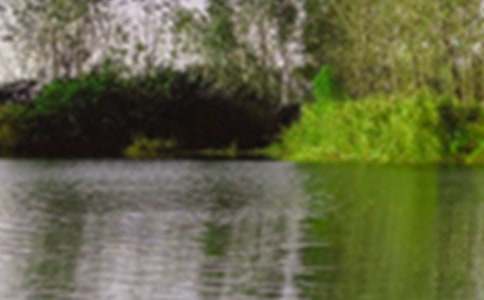 �茑��h�ľ�ɫ���ģ�ͨ��5ƪ��