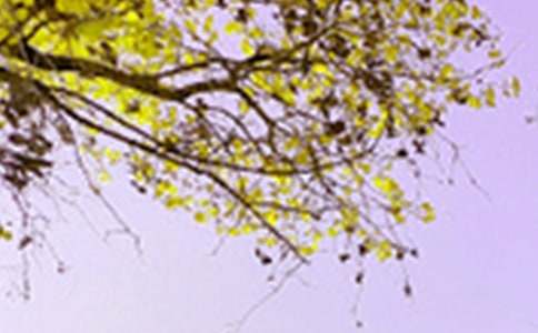 ��������ɫ������