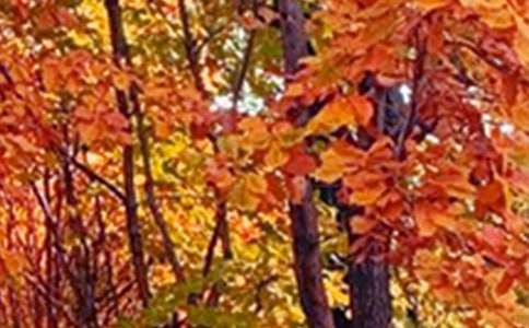 ��ɫ�������ģ����x28ƪ��