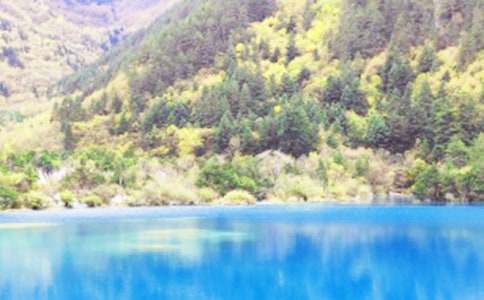 С�W����կ����ӛ���ģ�ͨ��24ƪ��