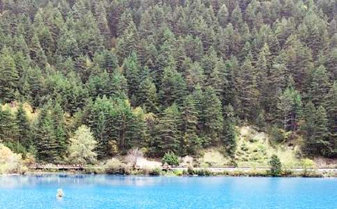 ͯԒ�����կ������(���x3ƪ)