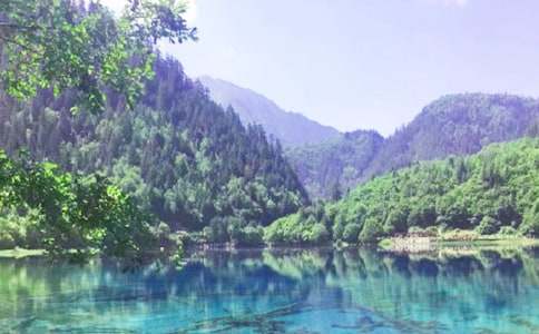 ��կ����������450��