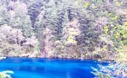 ͯԒ�����կ������(3ƪ)