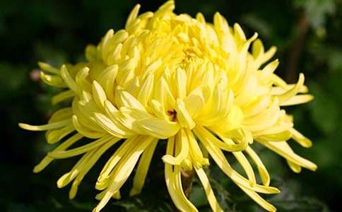 ������ľջ�������