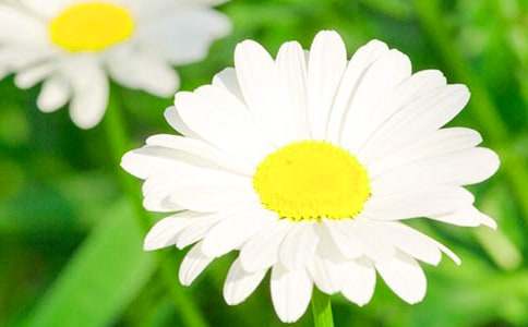 ��ϲ�g�ջ���������