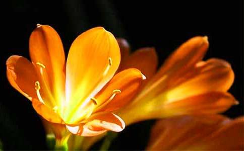 ՄՄ�����m���Bֳ��������