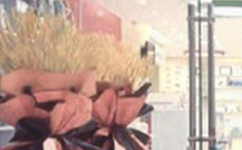 �_�I���@�R�~230��