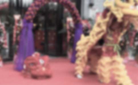 �����_�I�c���R�~