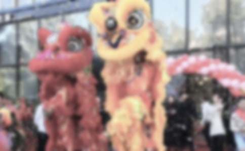 ��˾�_�I�c�����o�R�~��ͨ��12ƪ��