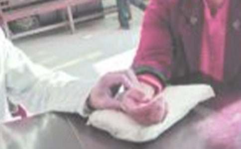 ��С؈����������600�ַ���