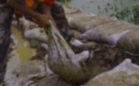 ����Ȟľ����x�Ń��|