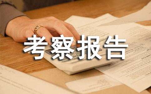 �ɲ������������ʽ