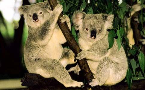 �ɐ۵Ę���ܿ������ģ����x15ƪ��