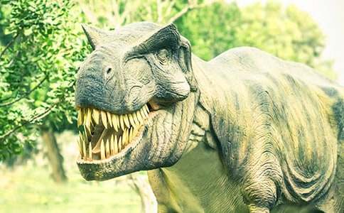 �o������һ����